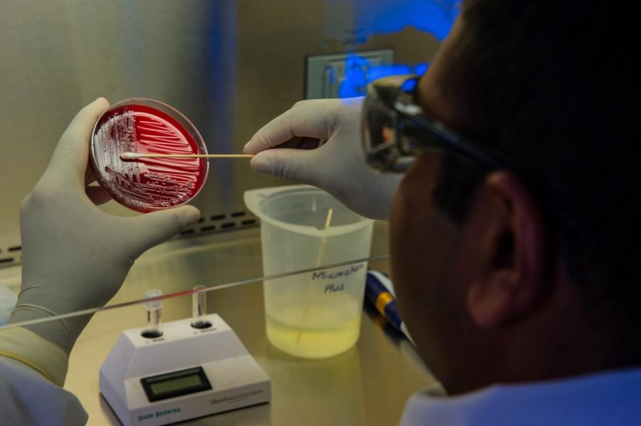 A microbiologist completes a blood culture test in a lab.