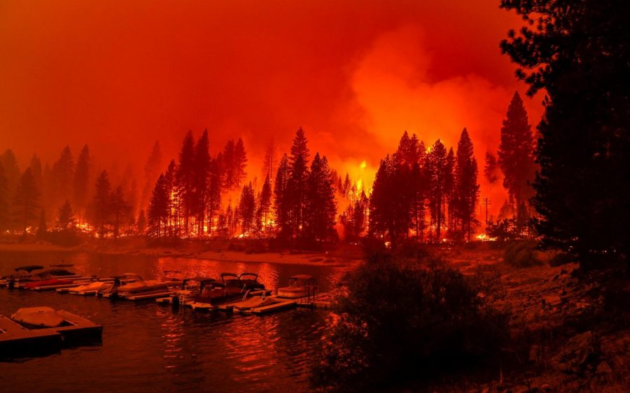 Hills Burn in California