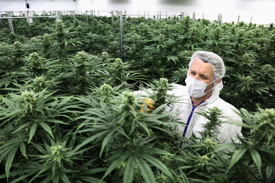 NJ’s Recent Legalization of Recreational Marijuana Use