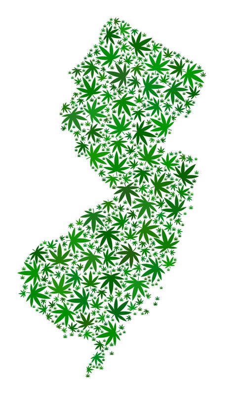The State of New Jersey made up of marijuana in order to symbolize the legalization of the drug in the state. 
