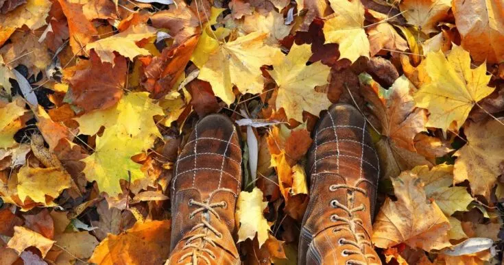 Festive Fall Activities in Hunterdon County