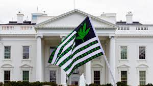 President Biden has set his federal marijuana pardoning plan into action. 