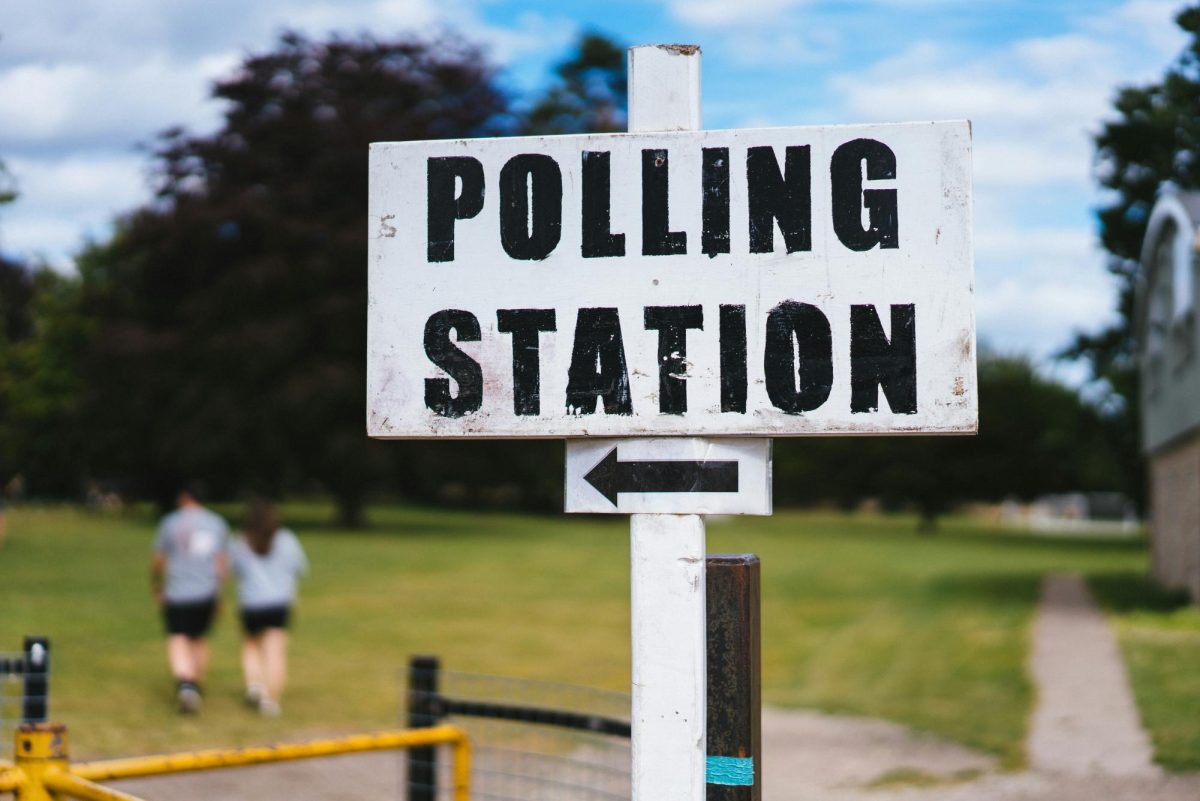 The Importance of Local Elections