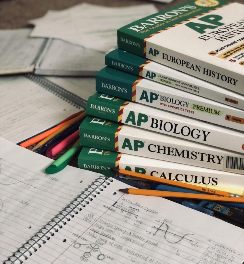  Many students at Hunterdon Central are using a variety of resources, including prep books, to get ready for their AP exams in May.