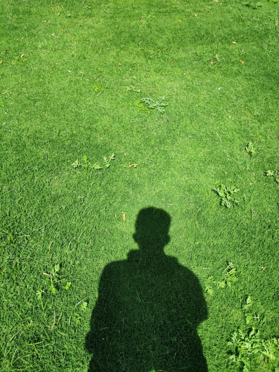 A dark shadow of a man is cast upon a sunlit lawn.
